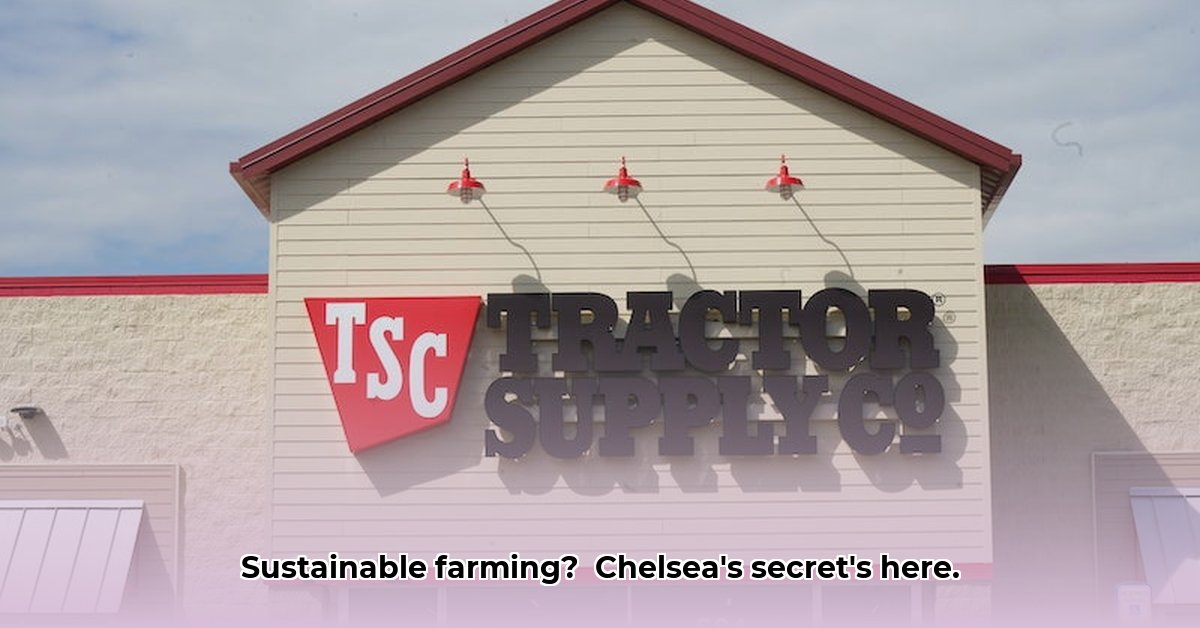 tractor-supply-chelsea-al